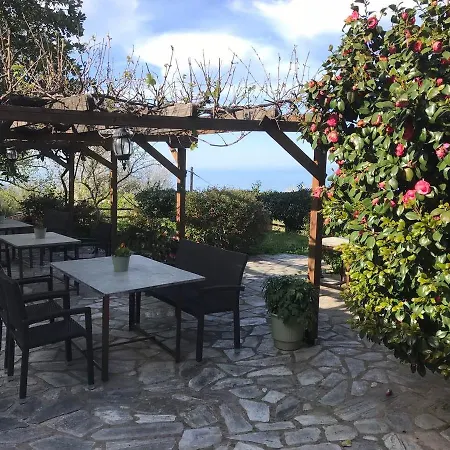 Guest house Ellis Full 4*