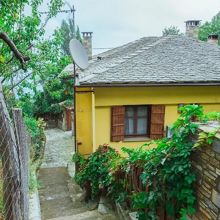 Ellis Full Guest house