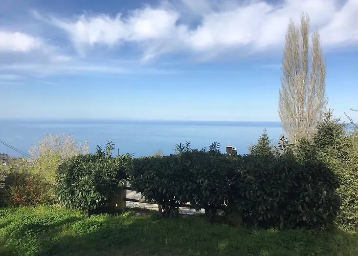 Ellis Full Guest house 4*