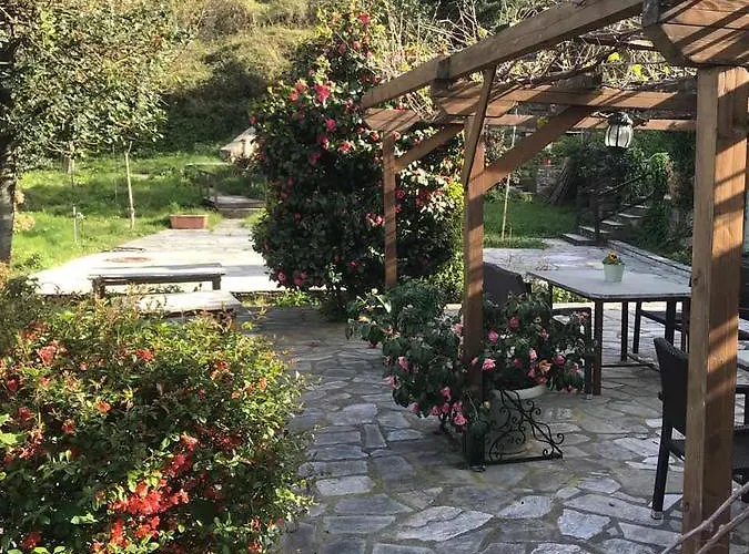 Ellis Full Guest house