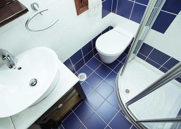 Ellis Full Guest house